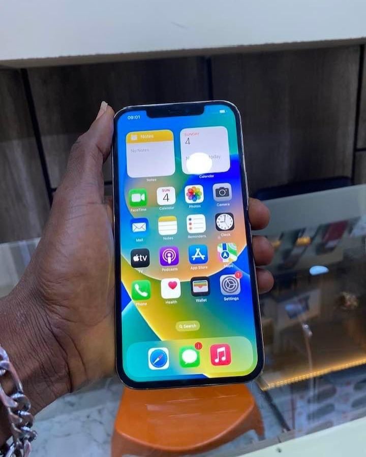 Apple IPhone 12 Pro Max is available at Efritin